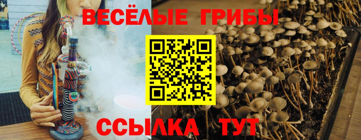 Псилоцибиновые грибы ЛСД Строитель