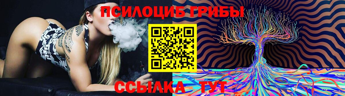 Строитель  Псилоцибиновые грибы MAGIC MUSHROOMS  Вход с VPN  Псилоцибиновые грибы Psilocybe 